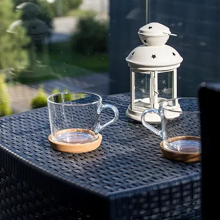 One Bedroom Kunigiskiai Apartament *