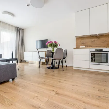 One Bedroom Kunigiskiai Apartment *